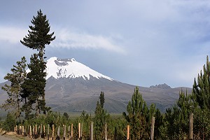 cotopaxi