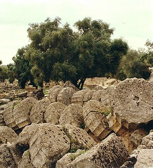 Olympia