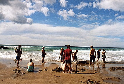 Hot Water Beach