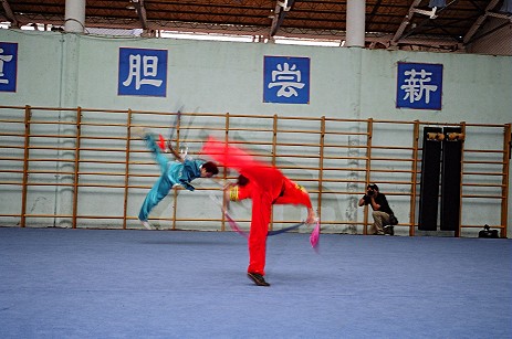 Wushu-Schule