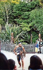 Begrüßungszeremonie der Maori