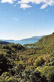 Blick auf den Vulkan Mt. Tarawera